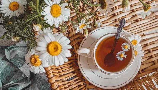 Experience the Best of ZhengShan XiaoZhong Tea with Furn-Store