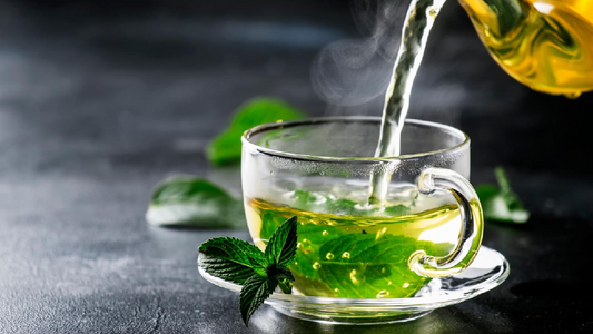 Green Tea Introduction: Discover the Benefits and Varieties with Furn-Store