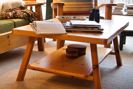 Living Room Tenon Wood Furniture with Furn-Store