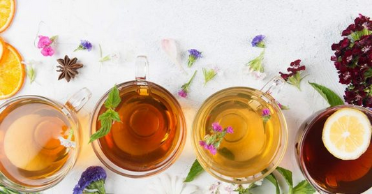 The Best Tea to Drink All Year Round | furn-store