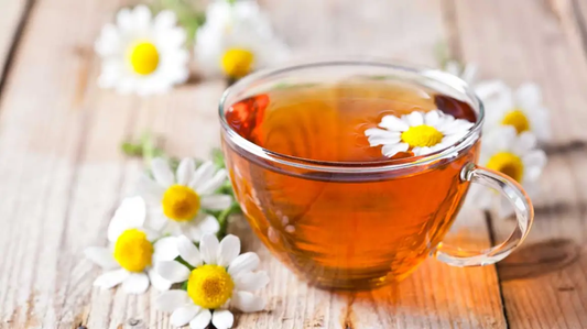 Benefits of chamomile tea | furn-store