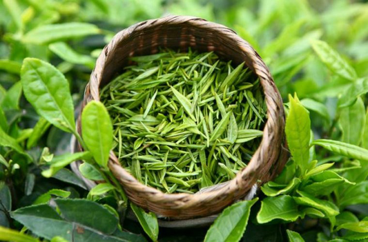 An Insight into U.S. Tea Imports: Trends and Statistics | furn-store