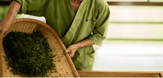 Creating a Unique Shopping Experience with Green Tea-Infused Drinks in a Furn-Store
