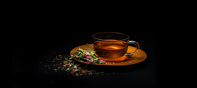 Discover the Elegance of Byroe Hydrangea Tea at Furn-Store