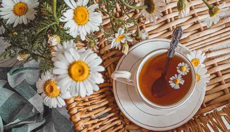 Experience the Best of ZhengShan XiaoZhong Tea with Furn-Store