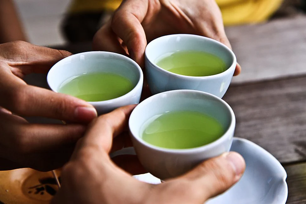 Experience the Heritage of Green Tea with Furn-Store