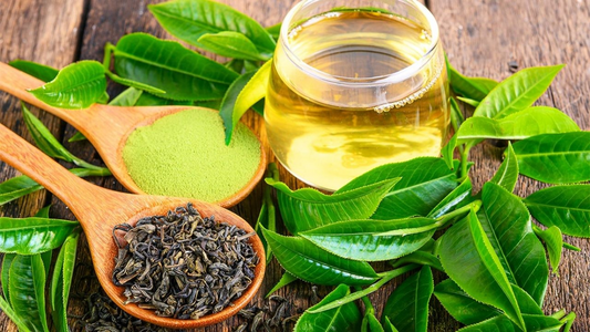 Key Varieties of Green Tea and Their Heritage with Furn-Store