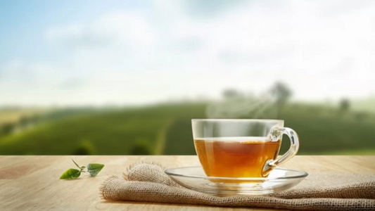 Milo's Tea at Furn-Store: Discovering Refreshing Tea Traditions