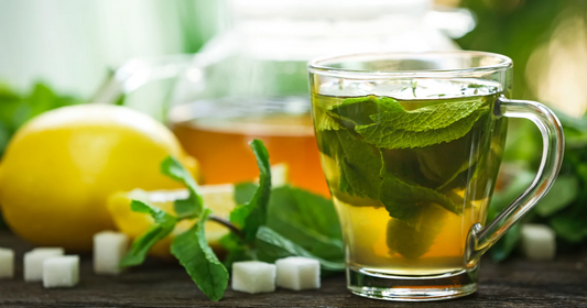 Savor the Fresh and Vegetal Flavors of Organic Green Tea with Furn-Store