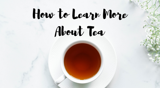 Tea Learn Discover the World of Tea with Furn-Store