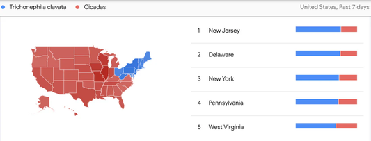 Trends Takeaways this Week | furn-store.com