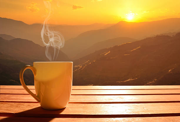 Which Type of Tea is Best for the Morning with Furn-Store