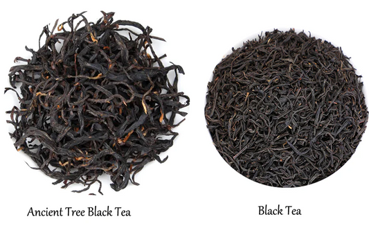 Why is the health and vitality of the tree crucial for producing high-quality Ancient Tree Tea furn-store?